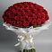 Букет 101 Красная роза Блэк Мэджик в Камбарке