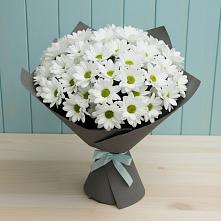 Букет цветов из:  Хризантемы #REPLACE_PRED# Камбарке