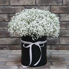 Цветочная композиция из Гипсофила в шляпной коробке в Камбарке