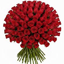 Букет Красные розы Чери Лав в Камбарке