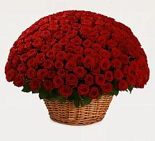 Премиум букет из: Розы в Камбарке